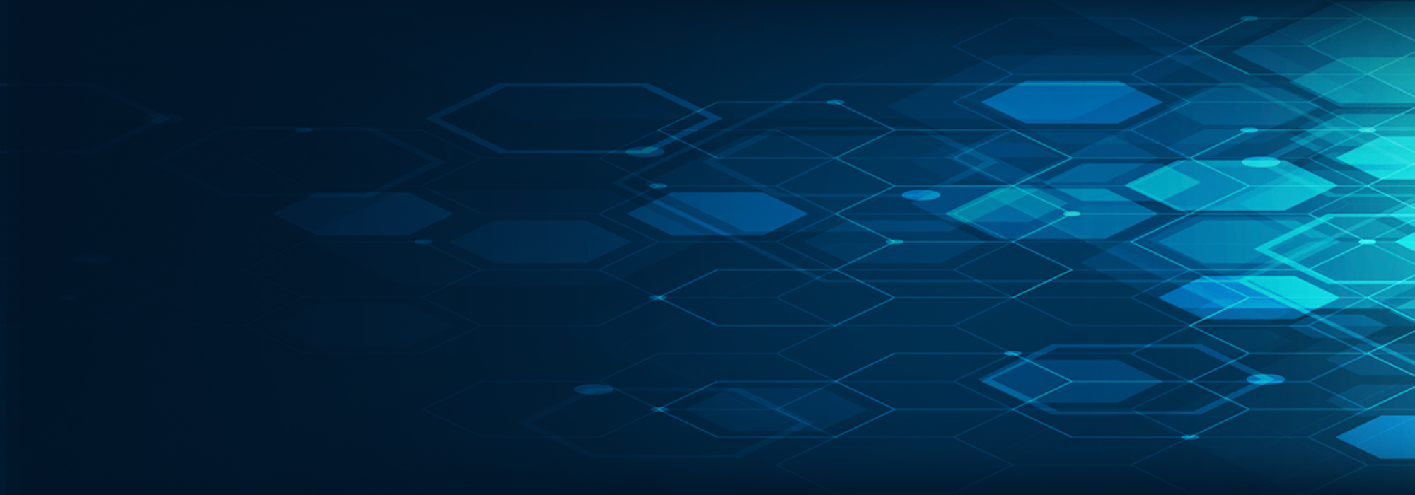 FISH HEADER BACKGROUND 2000 X 700